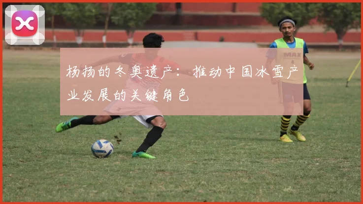 杨扬的冬奥遗产：推动中国冰雪产业发展的关键角色