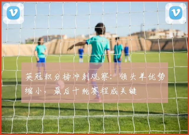 英冠积分榜冲刺观察：领头羊优势缩小，最后十轮赛程成关键