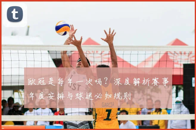 欧冠是每年一次吗？深度解析赛事年度安排与球迷必知规则