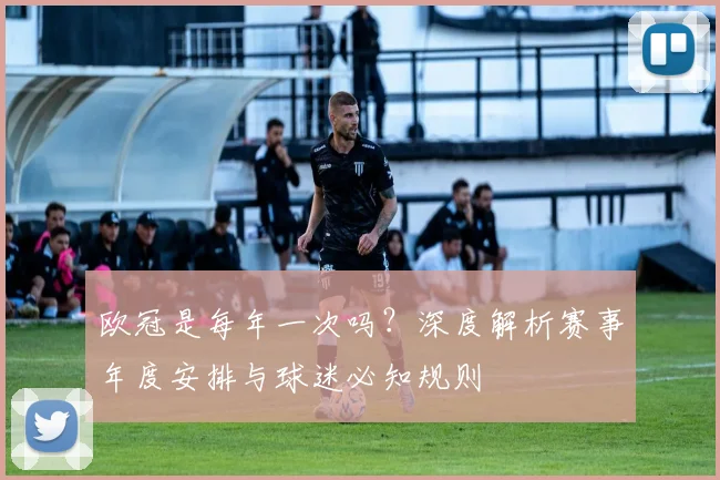 欧冠是每年一次吗？深度解析赛事年度安排与球迷必知规则