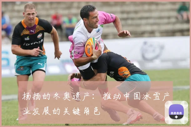 杨扬的冬奥遗产：推动中国冰雪产业发展的关键角色